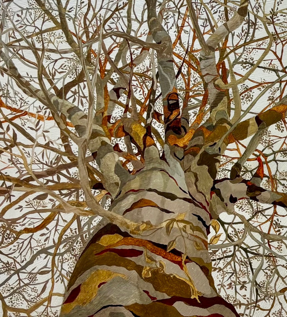 Opere su Tela di Angela Florian